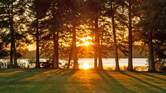 Lopez Robin Mtl Unsplash Lake