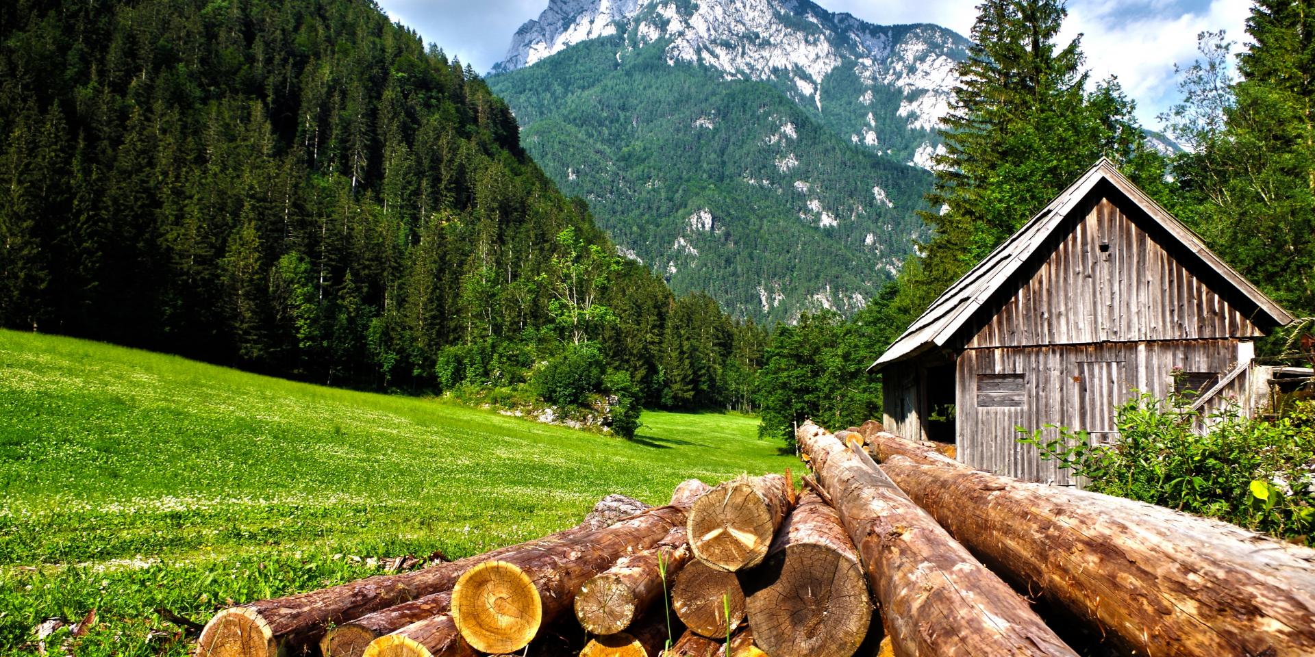 Addon Starter Image 8.jpg