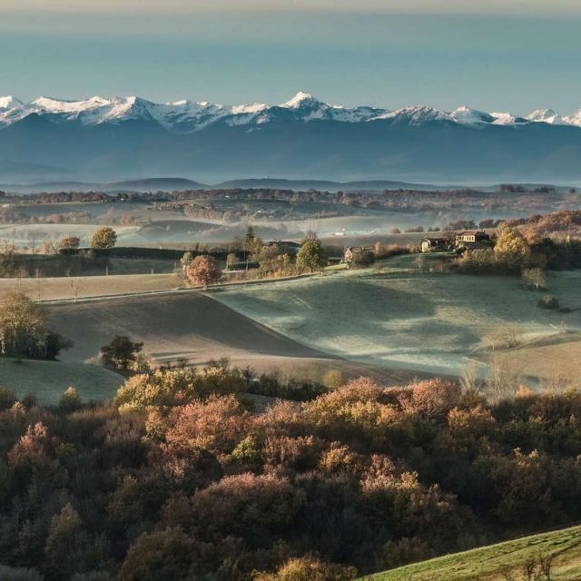 70745c5f15 124898 02 1700