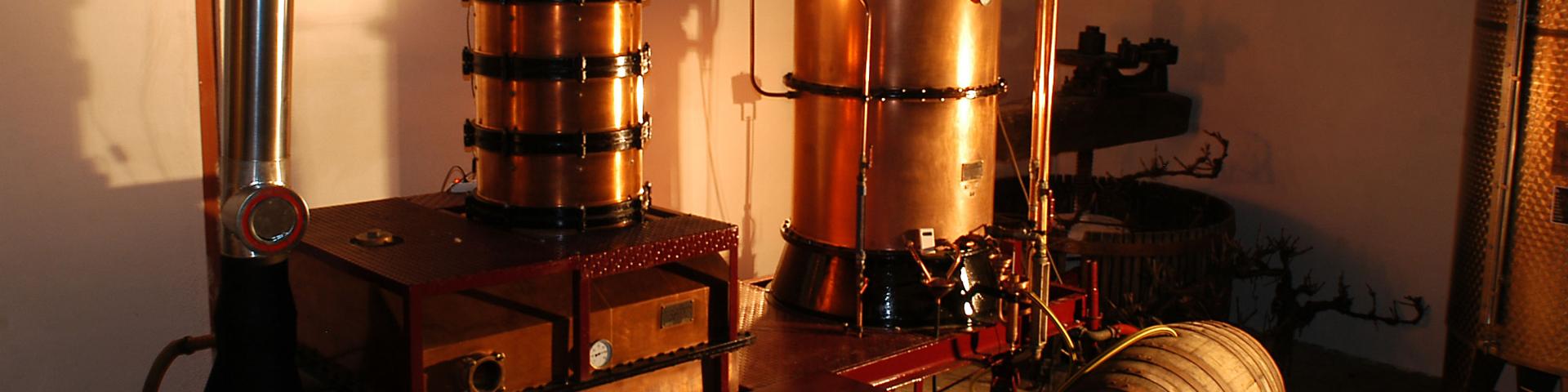 Cultura y tradiciones-Cazaubon-Barbotan-les-Thermes-Domaine-Guilhon-d-Aze-Denis-Tatset-Laree