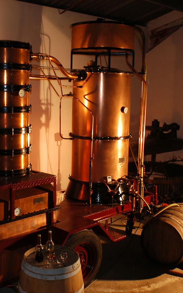 Cultura y tradiciones-Cazaubon-Barbotan-les-Thermes-Domaine-Guilhon-d-Aze-Denis-Tatset-Laree