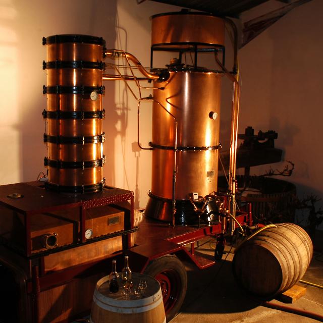 Domaine-Guilhon-d-Aze-Denis-Tatset-Laree